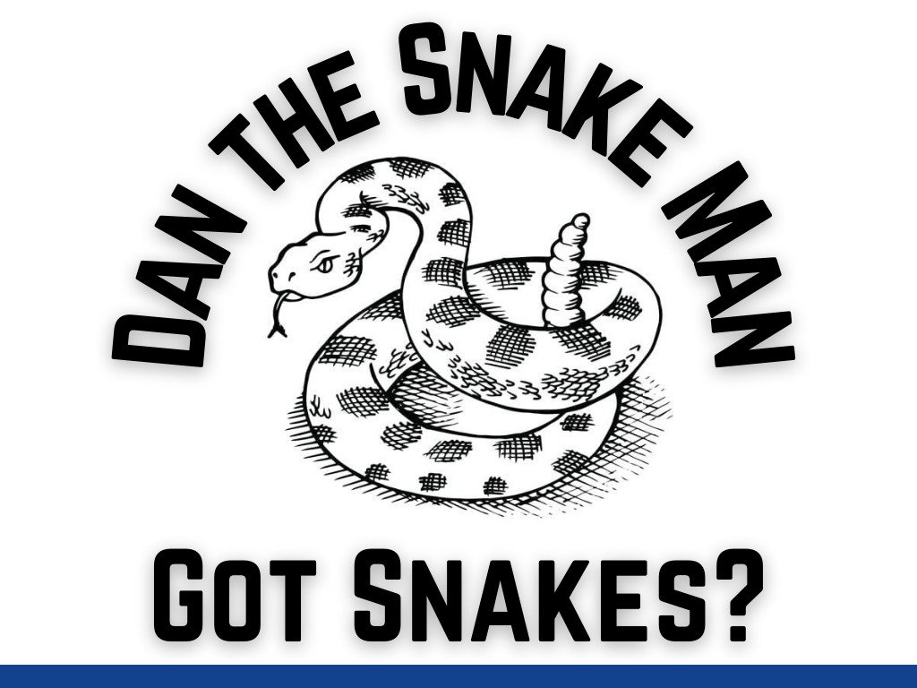 danthesnakeman.canva