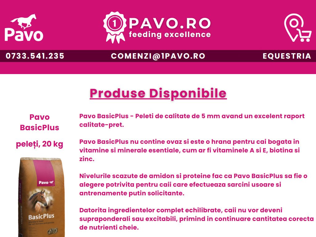 1pavo.canva/1pavoro---pavo-basicplus