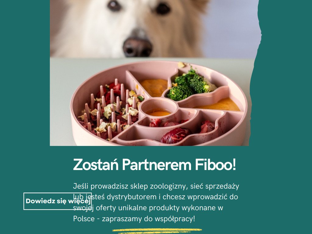 test124312.canva